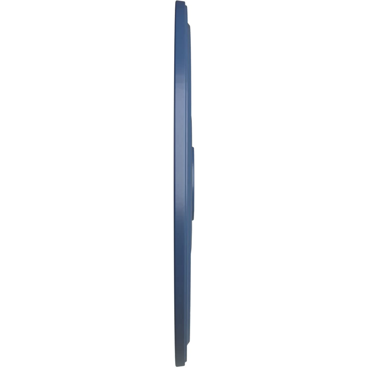 Ekena Millwork Cm24Diamf Diane Ceiling Medallion, 24Od X 3 5/8Id X 1 1/4P (Fits Canopies Up To 6 1/4), Hand-Painted Americana