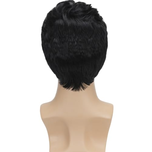 Short Black Wigs for Men Layered Natural Curly Synthetic Replacement Full Wig for Male Daily Wear Party Cospaly Costume Ha...