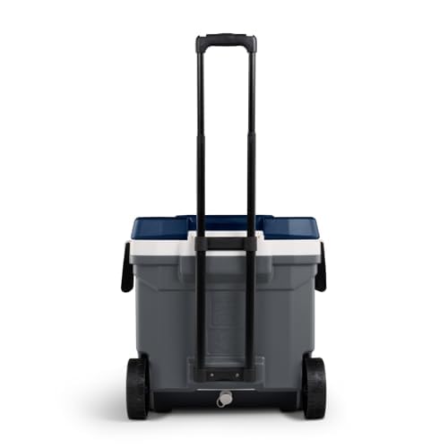Igloo Maxcold Latitude Cooler | Insulated Hard Shell Ice Chest