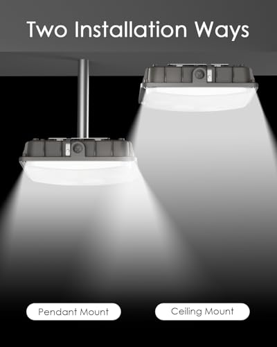 JC-LGL LED Canopy Lights, 40W, 5600LM, 5000K, 0-10V Dimmable, 120-277VAC, IP65 Waterproof, UL Listed, Commercial LED Canop...