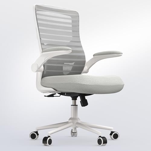 QLTPLUS Office Chair for Long Hours & Lower Back Pain Relief – 4" Molded Foam Cushion, Padded Lumbar Support, and Padded F...