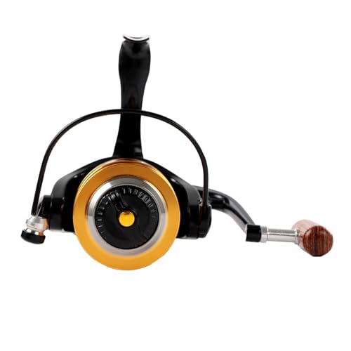 Diwa Spinning Fishing Reels for Saltwater Freshwater 1000 2000 3000 4000 5000 6000 Series Fishing Spool Left/Right Interch...