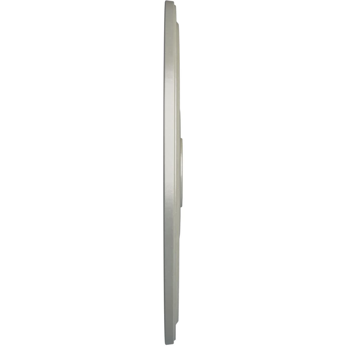 Ekena Millwork Cm24Difcs Diane Ceiling Medallion, 24Od X 3 5/8Id X 1 1/4P (Fits Canopies Up To 6 1/4), Hand-Painted Flash Copper