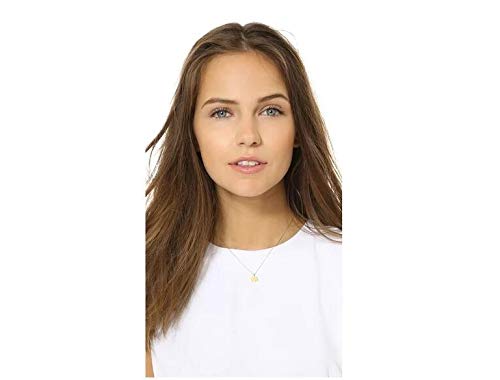 LANG XUAN Friendship Elephant Necklace Good Luck Butterfly Pendant Chain Necklace with Message Card Gift Card for Women Gir (Sil