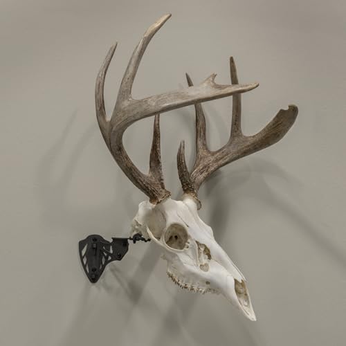 Allen Company EZ Mount Trophy Skull Hanger, Black