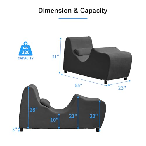 PUREMIND Chaise Lounge Chair Indoor, Ergonomic Zero Gravity Recliner with Pillow for Relaxing, Working, Reading in Living ...