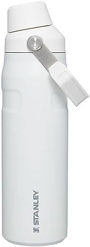Stanley IceFlow Fast Flow Water Bottle | Angled Spout Lid | Lightweight & Leakproof for Travel & Sports | Insulated Stainl...