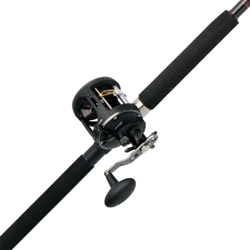 Penn Warfare II Level Wind Conventional Reel and Fishing Rod Combo