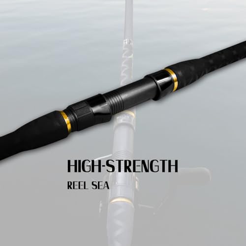 Fiblink Surf Spinning Fishing Rod 2 Piece Carbon Fiber Portable Travel Spinning Rod (10-Feet & 12-Feet)