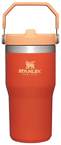 Stanley IceFlow Flip Straw Tumbler with Handle 20 oz | Twist On Lid and Flip Up Straw | Leak Resistant Water Bottle | Insu...