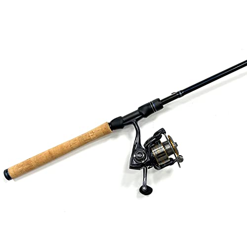 Cadence Lux Spinning Rod and Elate Spinning Reel
