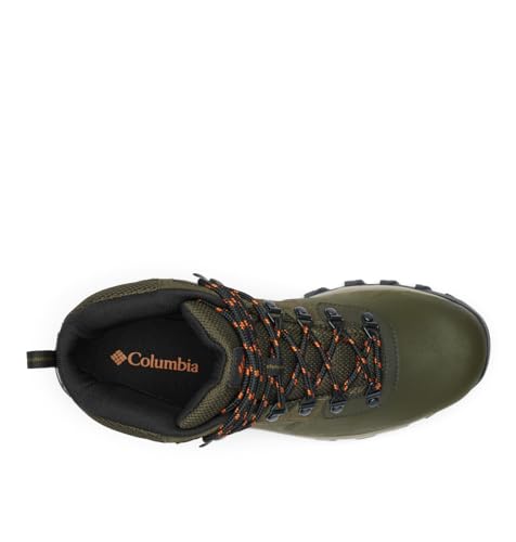 Columbia Men's Newton Ridge Plus II Waterproof Hiking Boots