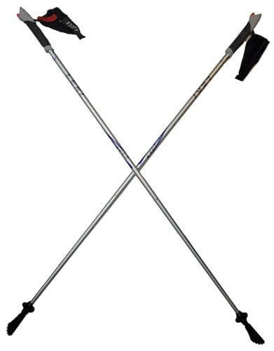 LEKI Nordic Walking Amero Carbon Series Walking Poles Silver 115cm