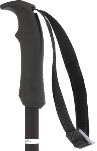Atomic AMT Ski Poles