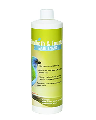 Sanco Bird Bath & Fountain Maintenance, Fast-Acting Enzyme-Based Formula Will Extend The Life of Your Water Feature, Aid i...