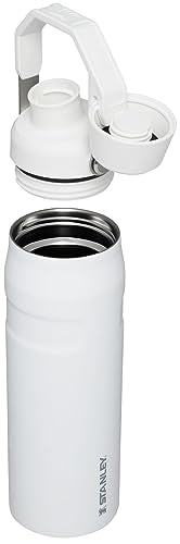 Stanley IceFlow Fast Flow Water Bottle | Angled Spout Lid | Lightweight & Leakproof for Travel & Sports | Insulated Stainl...