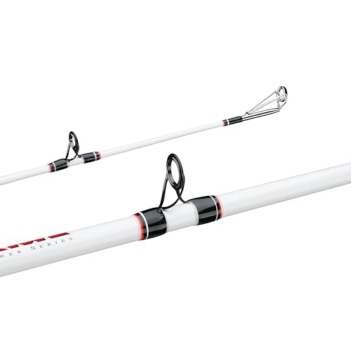 Berkley Big Game Casting Fishing Rod