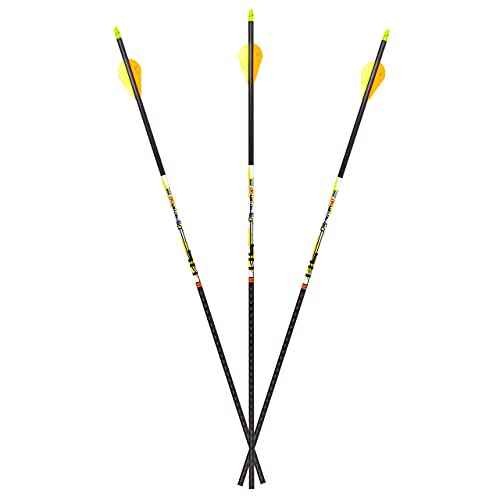 Carbon Express D-Stroyer SD 400 Spine, 6-Pack of Fletched Arrows, Available in 350 & 400 Spine
