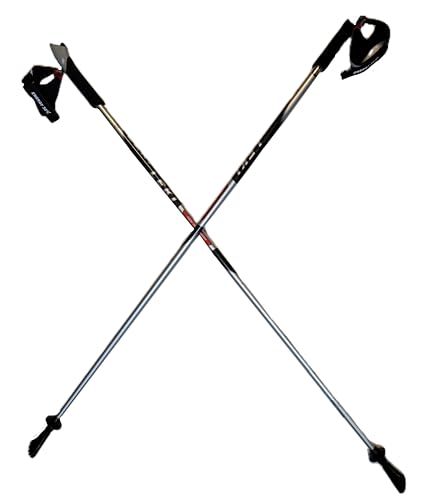 LEKI Nordic Walking Pacer Ultra Lightweight HM Carbon 110cm Silver