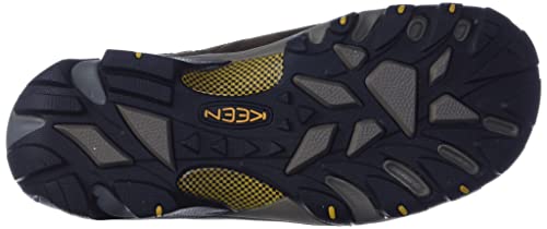 KEEN Men's Targhee 2 Low Height Waterproof Hiking Shoes