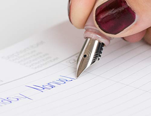 Schneider Ceod Shiny 74869 Writing Set with Fountain Pen, Rollerball Pen, Ink Killer (Right and Left-Handed Users, M Nib, ...