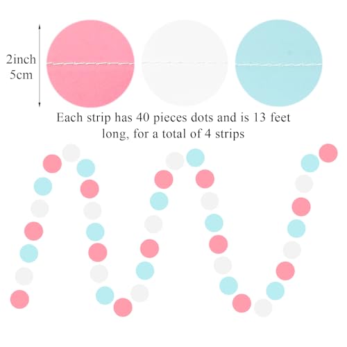 White Blue Pink Party Decorations - Paper Garland Streamer Banner Birthday Decorations Baby Shower Decorations Gender Reve...