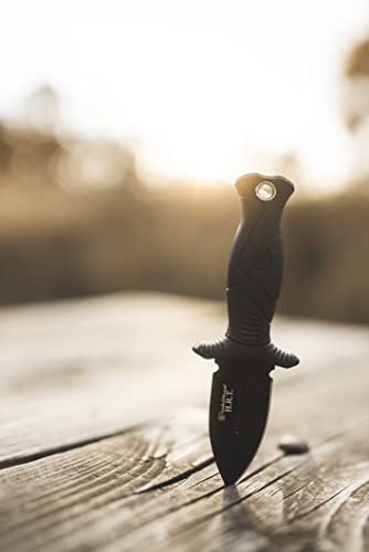 Smith & Wesson 5in High Carbon SS Fixed Blade Knife with 2in False Edge Blade and Stainless Steel Finish for Outdoor Tacti...