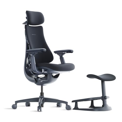 LiberNovo Dynamic Ergonomic Desk Chair + StepSync Footrest Bundle - Comfy Home Office Chair with Adaptive Lumbar Support, ...