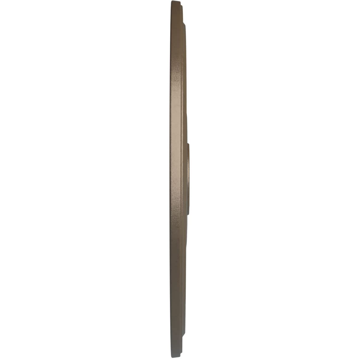 Ekena Millwork Cm24Diwss Diane Ceiling Medallion, 24Od X 3 5/8Id X 1 1/4P (Fits Canopies Up To 6 1/4), Hand-Painted Warm Silver