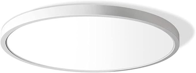 12 Inch LED Flush Mount Ceiling Light Fixture, 5000K Daylight White, 3200LM, 24W, Flat Modern Round Lighting Fixture, 240W...