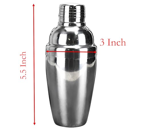 8.4 Oz Cocktail Shaker, 5.5 In x 2.5 In Stainless Steel Drink Shaker with Built-In Strainer for Bar Mixed Tools (8.4 oz)