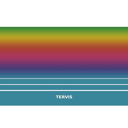 Tervis Traveler Rainbow Flavor Ombre Triple Insulated Tumbler Travel Cup Keeps Drinks Cold & Hot, 20oz, Stainless Steel
