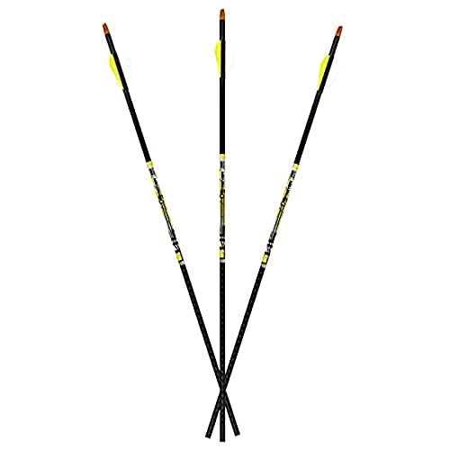 Carbon Express D-Stroyer 500 Spine, 6-Pack of Fletched Arrows, Available in 400 & 500 Spine