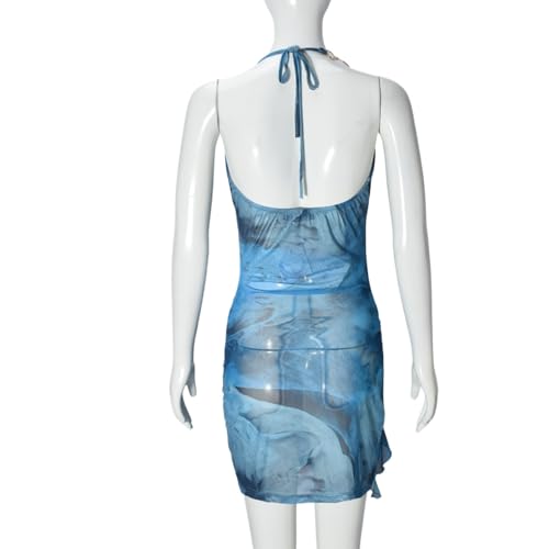 Novaorily Women Sexy Sheer Halterneck Mini Dress Hollow Out Colourful Mesh Floral Dress for Beach Party Night