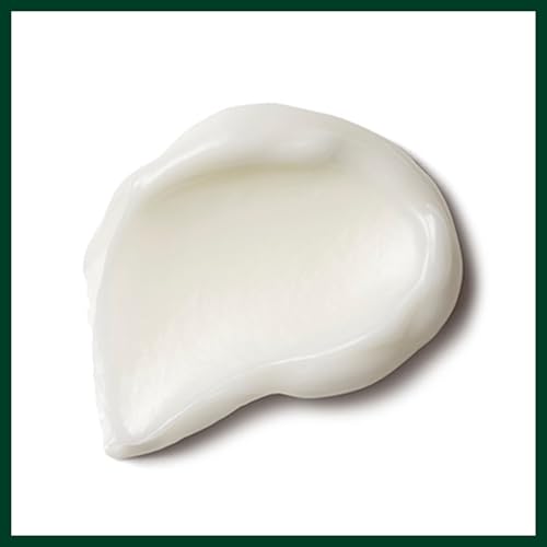 Aveda Nutriplenish Treatment Masque Deep Moisture | Intense Deep Conditioning Masque for Dry, Brittle Hair | Organic Pomegranate Oil, Coconut Oil, Mango Butter | 96% Naturally Derived*