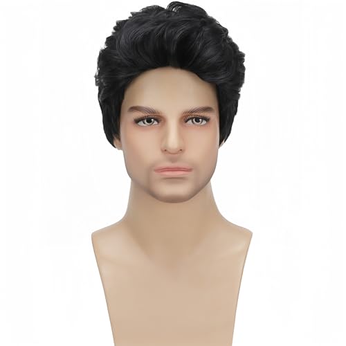 Short Black Wigs for Men Layered Natural Curly Synthetic Replacement Full Wig for Male Daily Wear Party Cospaly Costume Ha...