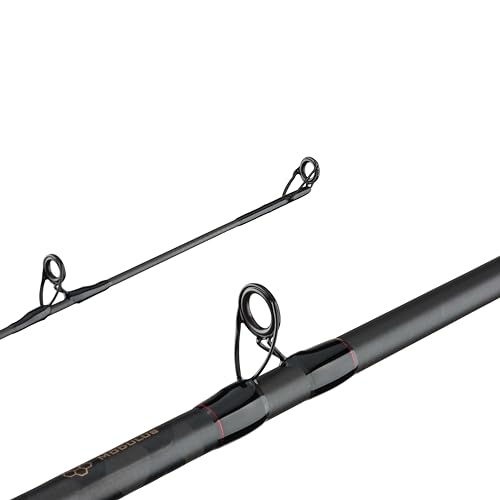 Berkley Lightning Rod Spinning Fishing Rod