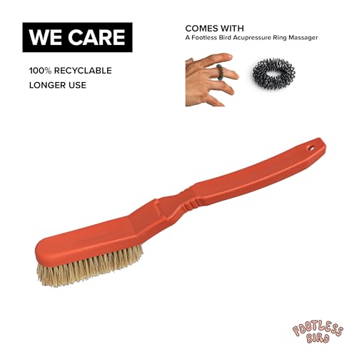 Footless Bird Rock Climbing & Bouldering Brush, Ergonomic, High Density Wild Boar's Thick Hair Bristles, 100% Recyclable, ...