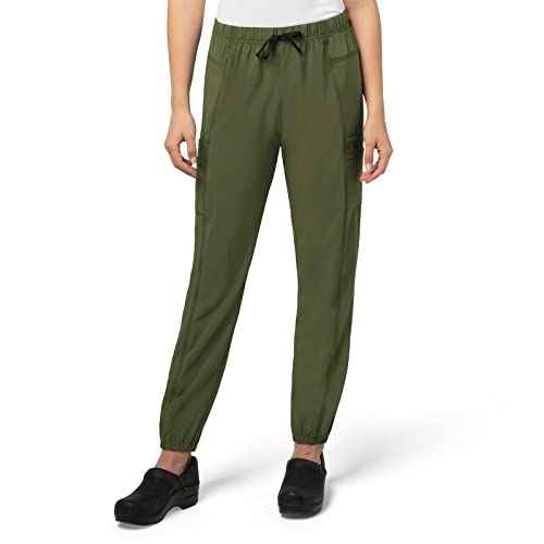 Carhartt Scrubs C52610 Women's Force¢ç Modern Fit Jogger Pant