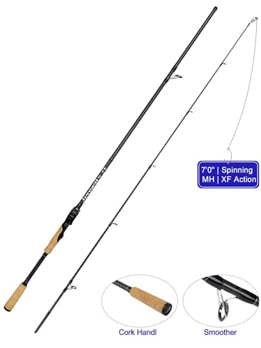 Jenseits Spining Fishing Rods – 2 Piece Carbon Fiber Rod, Medium Heavy Power Extra Fast Action, Premium Cork & EVA Handle,...