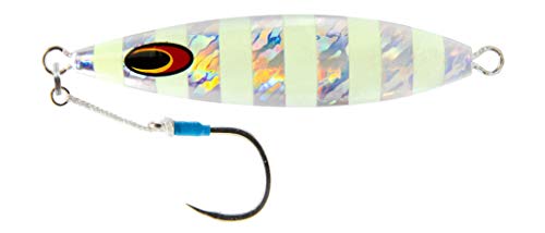 Nomad Design Back Slide Jig – Versatile Classic Teardrop Shape Shallow & Deep Water Fishing, BKK Assist Hooks The Gypsy 30...