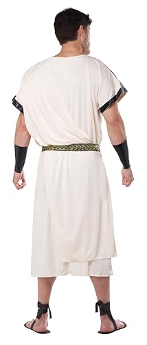 California Costumes Men's Deluxe Classic Toga Set