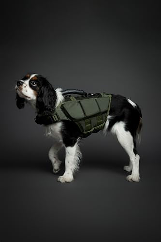 NOAH & PAW Dog Life Jacket, Human Standards Lifejacket Design, Dog Life Vest for Swimming and Boating, 3X Foam Support for...
