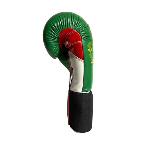 Ringside Limited Edition IMF Tech Boxing Training Sparring Gloves
