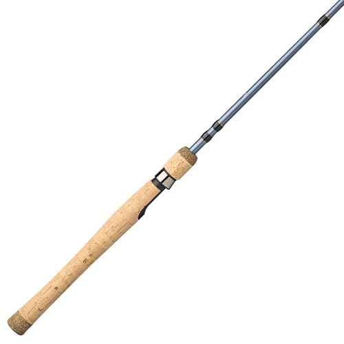 Pflueger President Spinning Fishing Rod