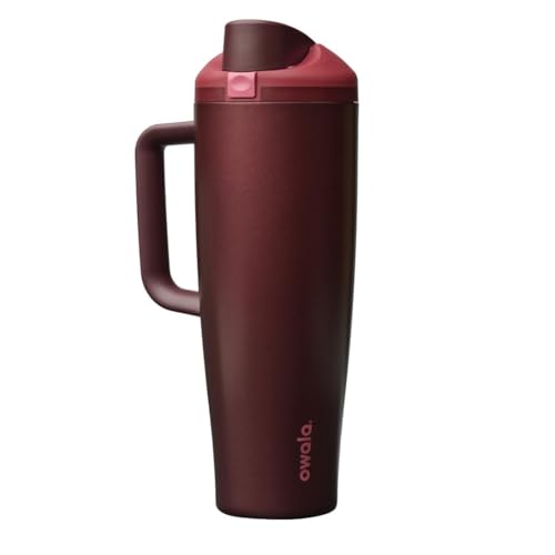 Owala FreeSip Tumbler Insulated Stainless Steel Water Bottle with Built-in Straw and Side Handle, For Travel, Work, Schoo...