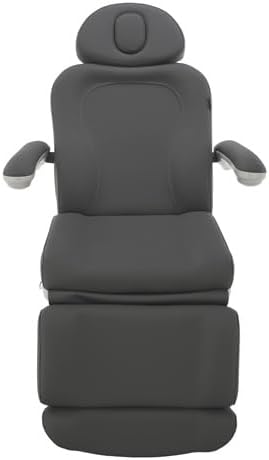 SKINACT Palma Electric Medical Spa Treatment Table (Gray)