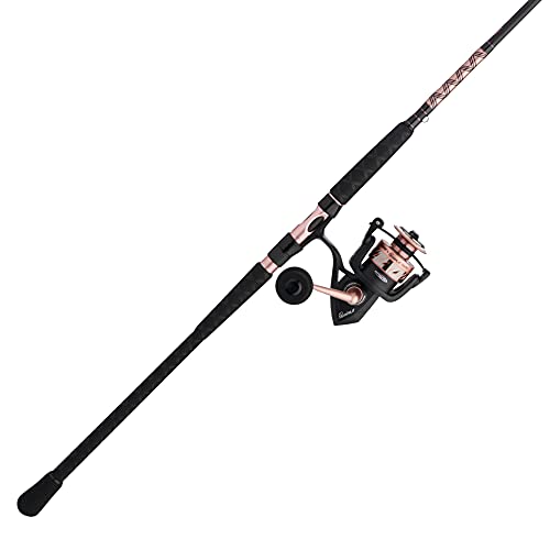 Penn Passion II Spinning Reel and Fishing Rod Combo