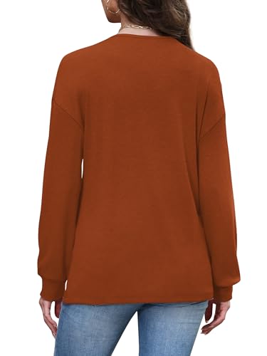 WIHOLL Long Sleeve Shirts for Women V Neck Tops Tunic Fall Winter Sweatshirts 2025 Clothes