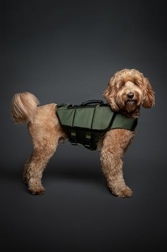 NOAH & PAW Dog Life Jacket, Human Standards Lifejacket Design, Dog Life Vest for Swimming and Boating, 3X Foam Support for...